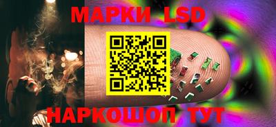 стафф Краснознаменск