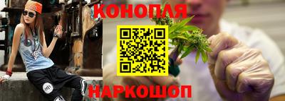 сатива Краснодар