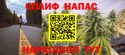 стафф Краснознаменск