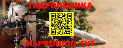 сатива Краснокаменск