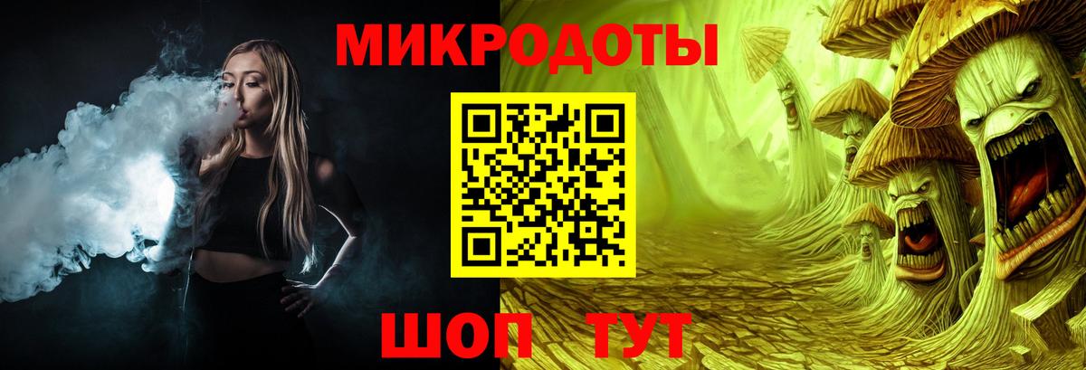 Галлюциногенные грибы Psilocybine cubensis Кизилюрт