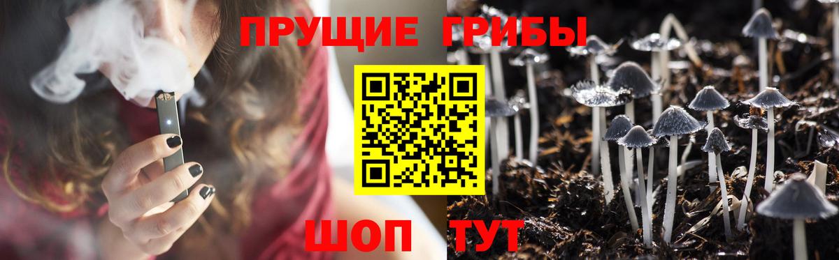 купить  цена  Псилоцибиновые грибы ЛСД  Вход с VPN  Кизилюрт 